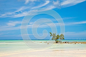 Empty Beach on Havelock Island photo