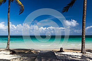 Empty beach on the island of Cayo Coco with palm trees.