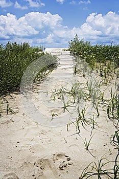 Empty Beach in July, Gulf Coast