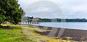 Empty beach of Llanquihue lake, Chile