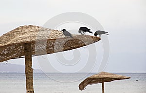 Empty beach in Taba, Egypt