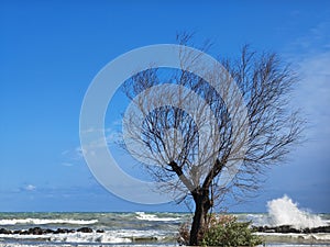 Empty beach in a winter day. Montesilvano, Abruzzo