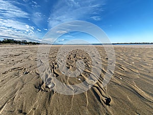 Empty beach in a winter sunny day. Montesilvano, Abruzzo