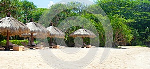 Empty beautiful beach background with recliners, straw tents and palm trees