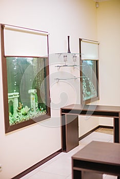 Empty beautiful room in day spa with aquarium and fish