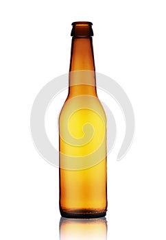 Empty beer bottle without labels
