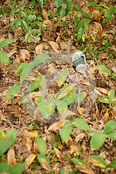 Beer can laying on the ground