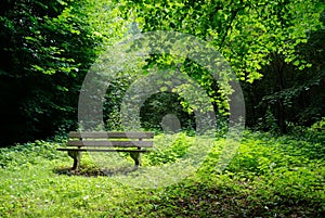 Empty bench