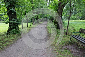 Empty bench at the alley in the old park