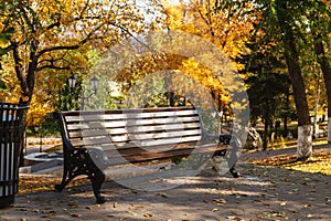 An empty bench in an autumn city Park against a background of yellow trees. The concept of urban recreation