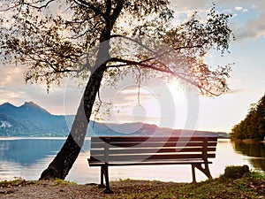 Empty bench at autumn mountain lake. Coast under bended tree