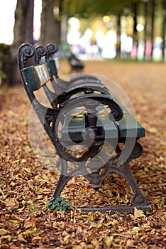 Empty bench in an autumn park