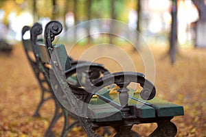 Empty bench in an autumn park