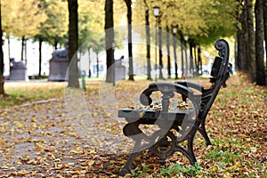 Empty bench in an autumn park