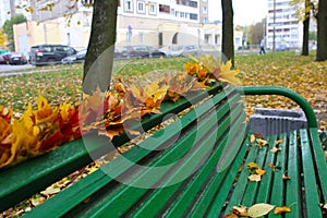 Empty bench in autumn park.