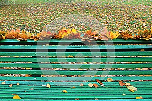 Empty bench in autumn park.