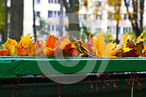 Empty bench in autumn park.