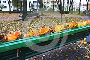 Empty bench in autumn park.