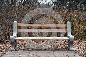 Empty bench in autumn park.