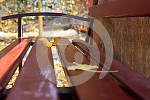 Empty bench in the autumn park. Autumn background with falling leaves
