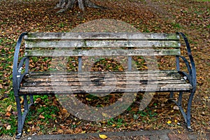 Empty bench in autumn park. Colorful trees and fallen leaves in autumn park