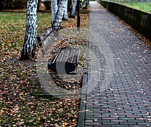 Empty bench in autumn park. Colorful trees and fallen leaves in autumn park