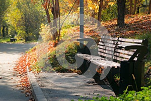 Empty bench in autumn park among different color leaves