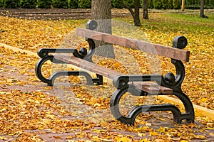 Empty bench in autumn park among fallen leaves. Autumn landscape