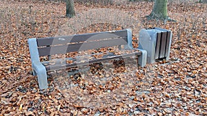 Empty bench in an autumn park and a trash can with fallen leaves around