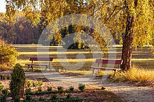 Empty bench in a beautiful autumn city park