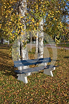 empty bench in a city park at autumn