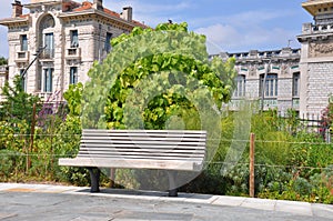 Empty bench in the city, a place of rest