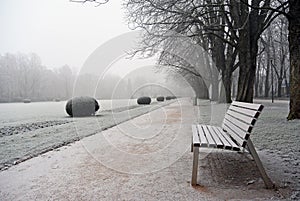 Empty bench in covered hoar-frost park a winter day