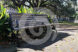 Empty Bench at Emmet Park in the Historic District of Savannah Georgia