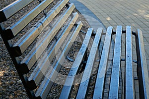 Empty bench in empty park