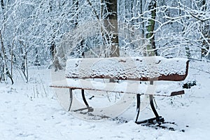 Empty bench in the forest under the snow in winter