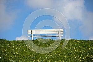 Empty bench on green