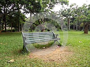 Empty bench inside botanical garden