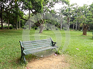 Empty bench inside botanical garden