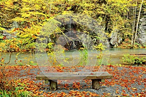 An empty bench by mysterious Oirase Stream in the autumn forest of Towada Hachimantai National Park in Aomori Japan