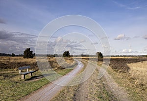 Empty bench near Someren