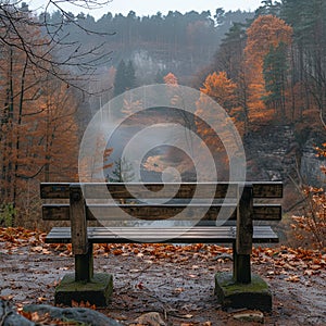 Empty bench overlooking misty vibrant forest during autumn