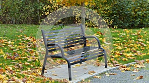 Empty bench in the park