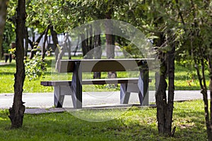 Empty bench in the park