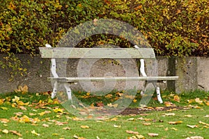 A empty bench in park during autumn