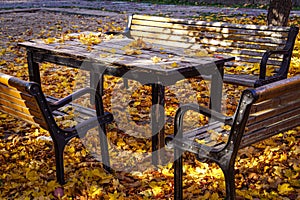 Empty bench in park during autumn