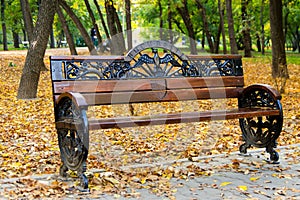 Empty bench in the park