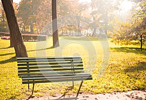 Empty bench in the park, in autumn golden and yellow colors