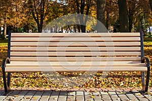 Empty bench in the park in autumn on a sunny day. Single ribbed bench outdoors in yellow fall foliage.
