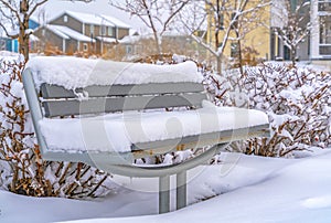 Empty bench on a park in Daybreak during winter